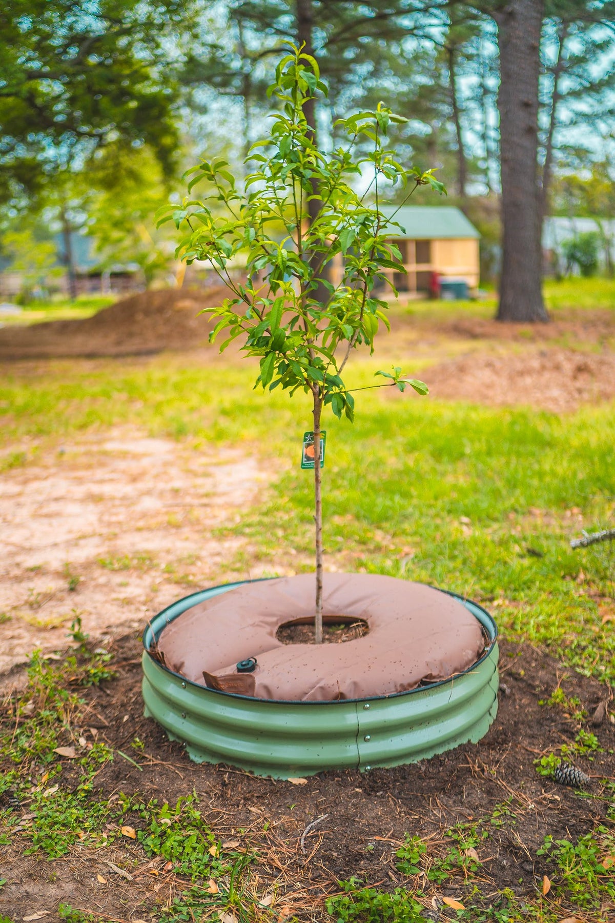 Vego Garden slow-release irrigation system provides steady root watering for hours.