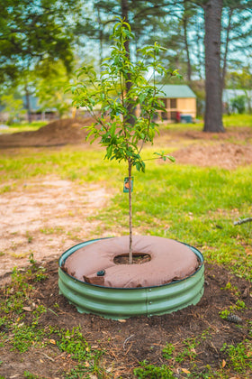 Vego Garden slow-release irrigation system provides steady root watering for hours.