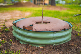 Vego Garden shrub and small-tree irrigation using a reliable watering bag.