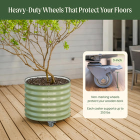 Vego Garden size options 20-30-45 gallons suit different plant sizes.