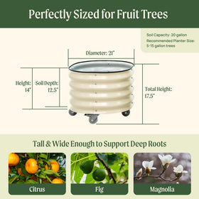 Vego Garden wheeled planter with locking wheels stays put for stability.
