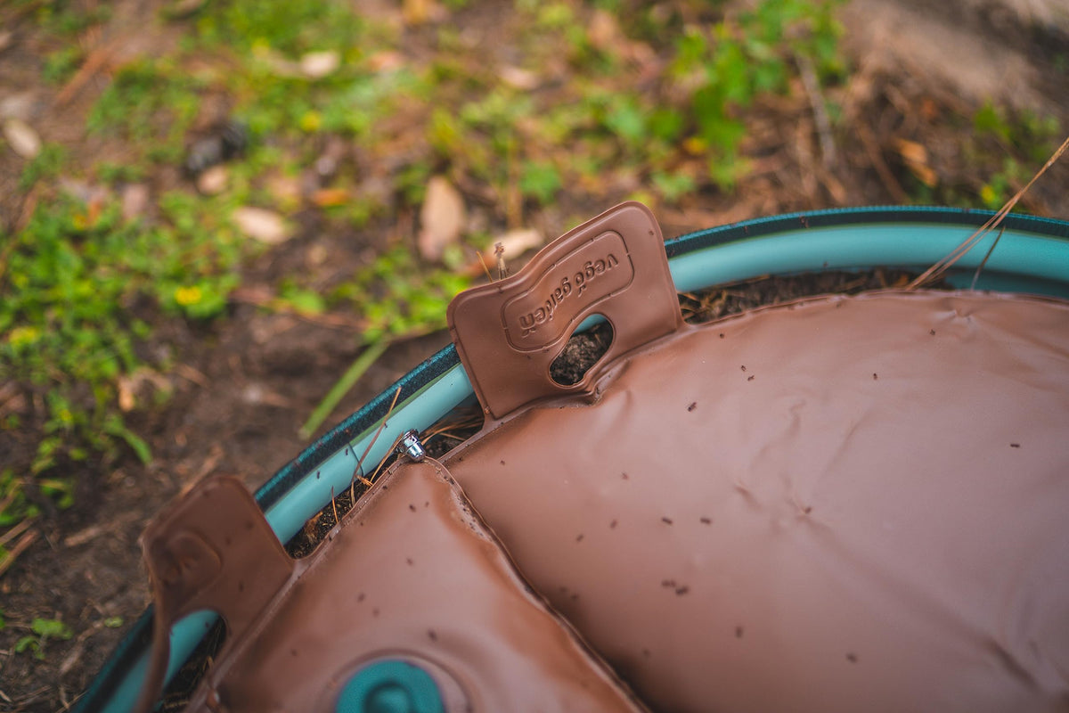 Vego garden slow-release irrigation delivers water over 12 hours.