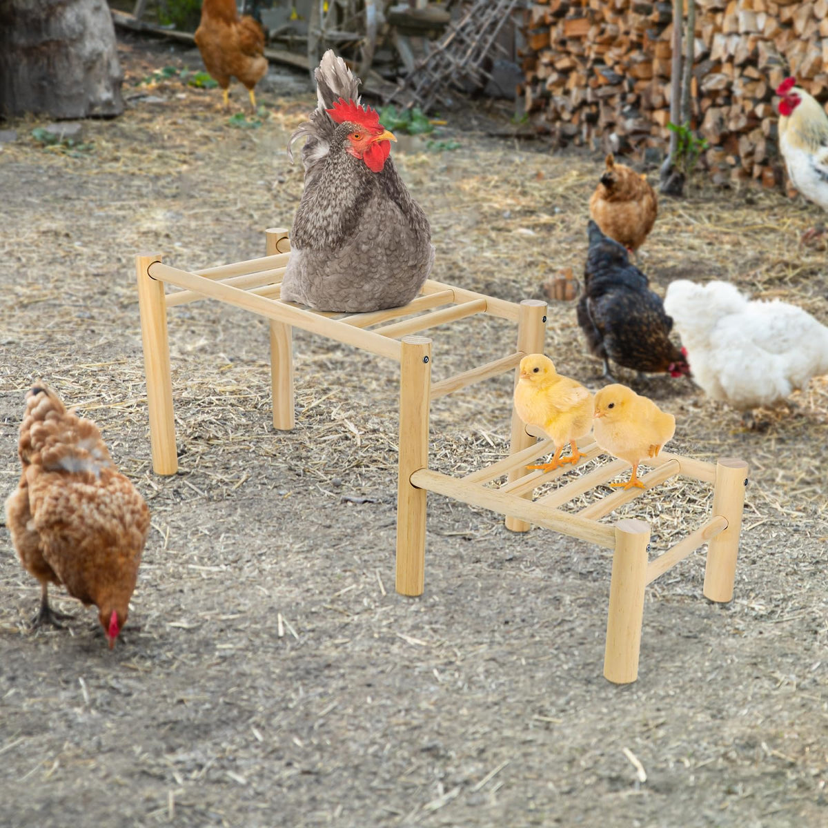 Vehomy coop toy jungle gym encourages play and exercise.