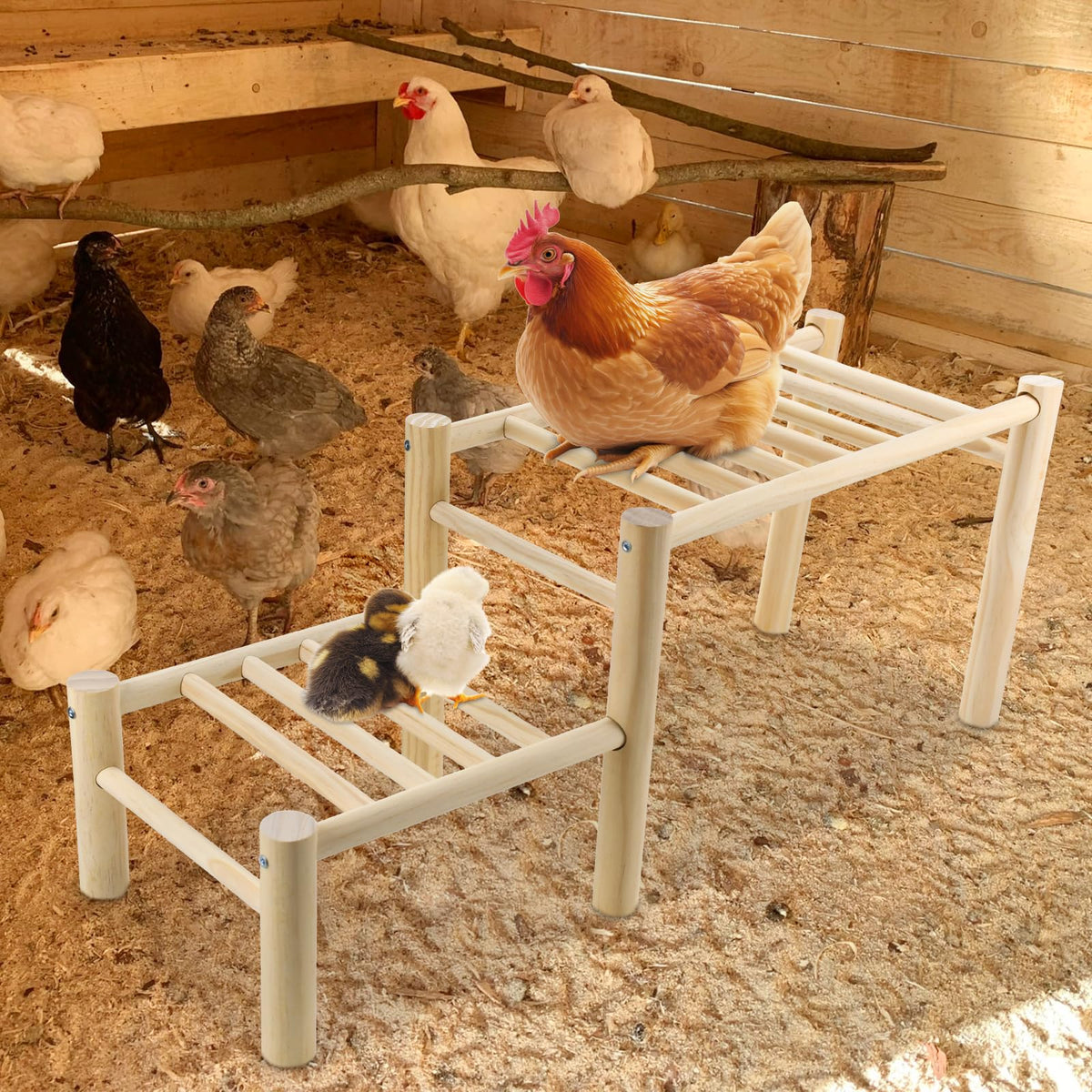 Vehomy feeder-holder perch for convenient water or feed access.