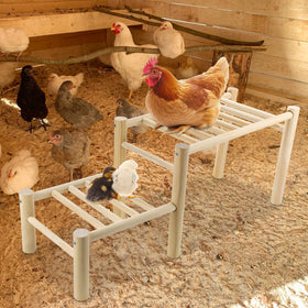 Vehomy feeder-holder perch for convenient water or feed access.