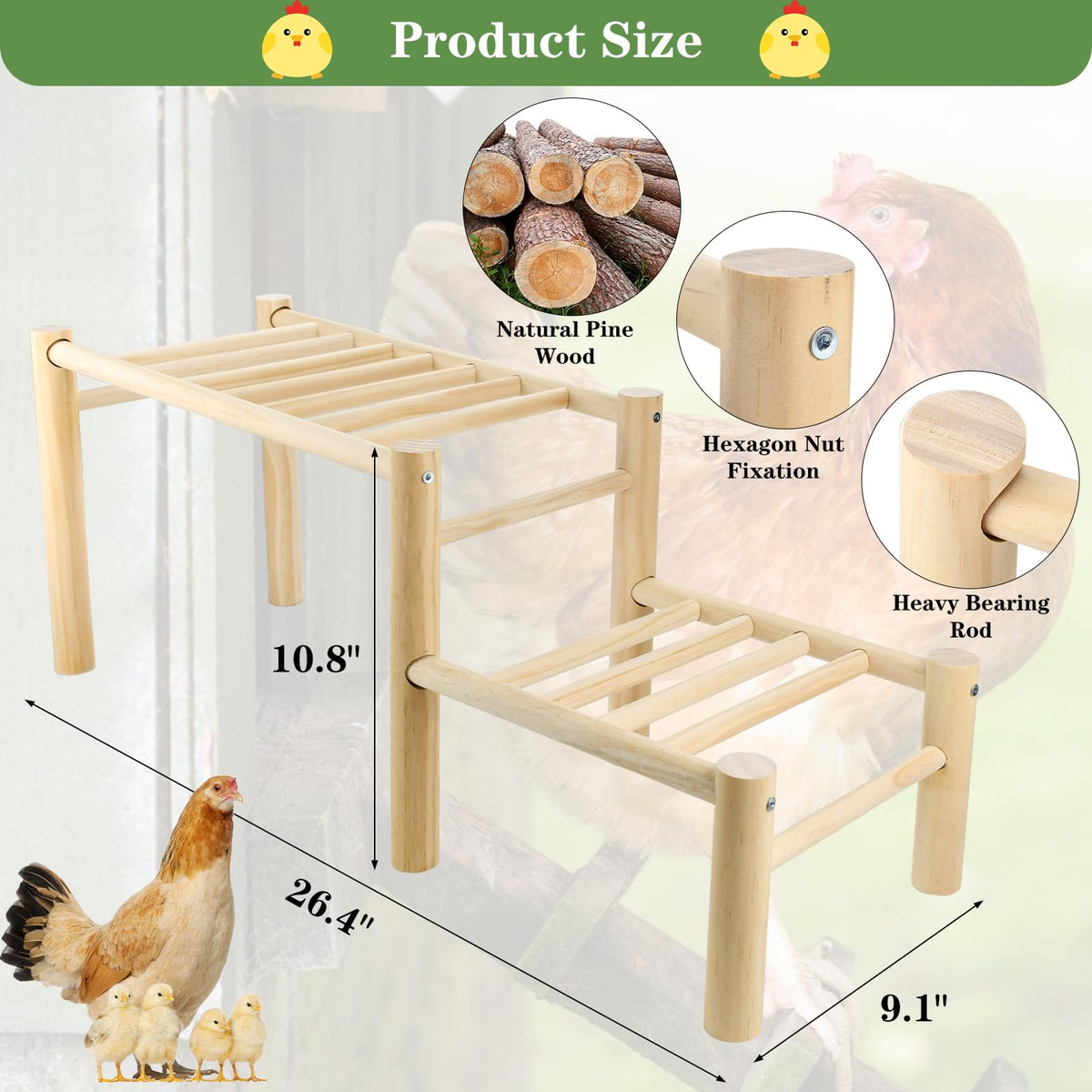 Vehomy roosting ladder with two heights for flock variety.
