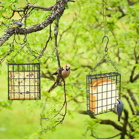 Velarionna grid-design bird feeder lets several birds feed at once