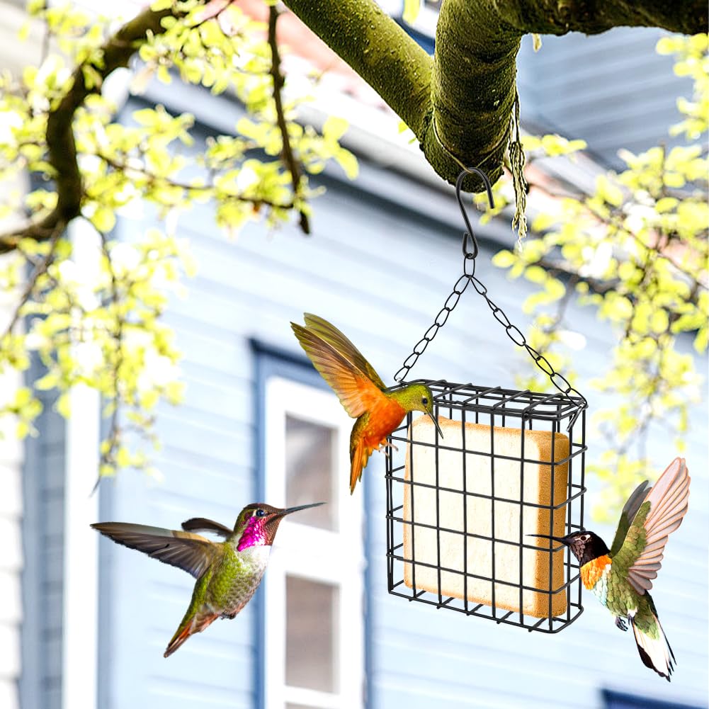 Velarionna minimalist outdoor feeder pictured blending with garden aesthetic
