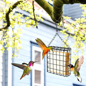 Velarionna minimalist outdoor feeder pictured blending with garden aesthetic