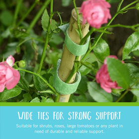 VELCRO Brand VEL-30089-AMS roses supported by ties demonstrate strong, gentle plant support.