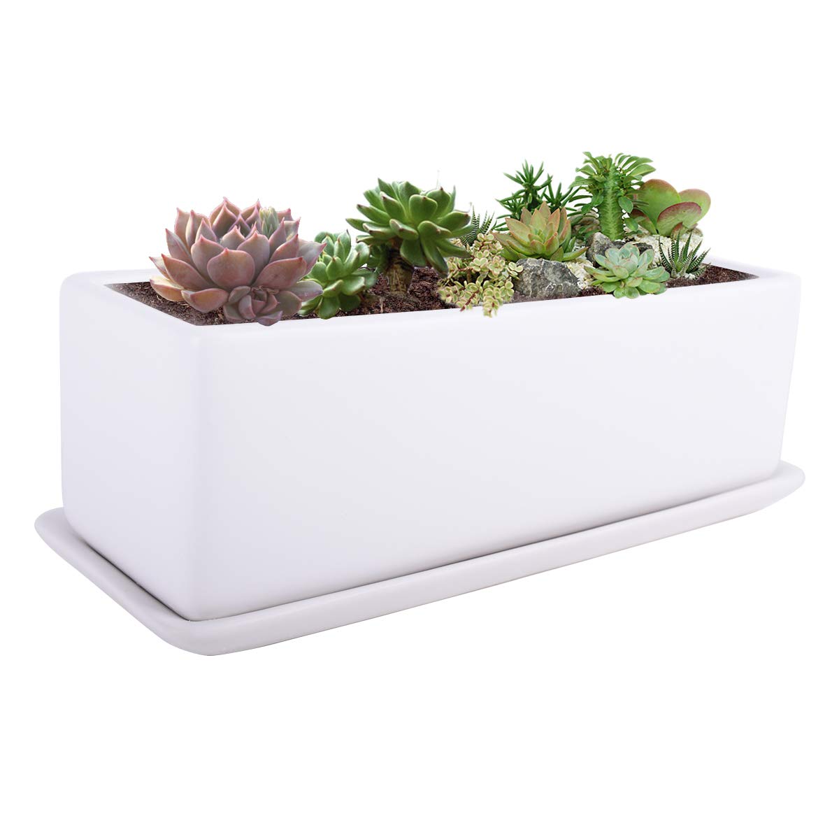 Vencer 12-inch rectangular ceramic planter on desk, clean modern display for shelves