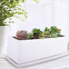 Vencer planter with plants not included, versatile for succulents