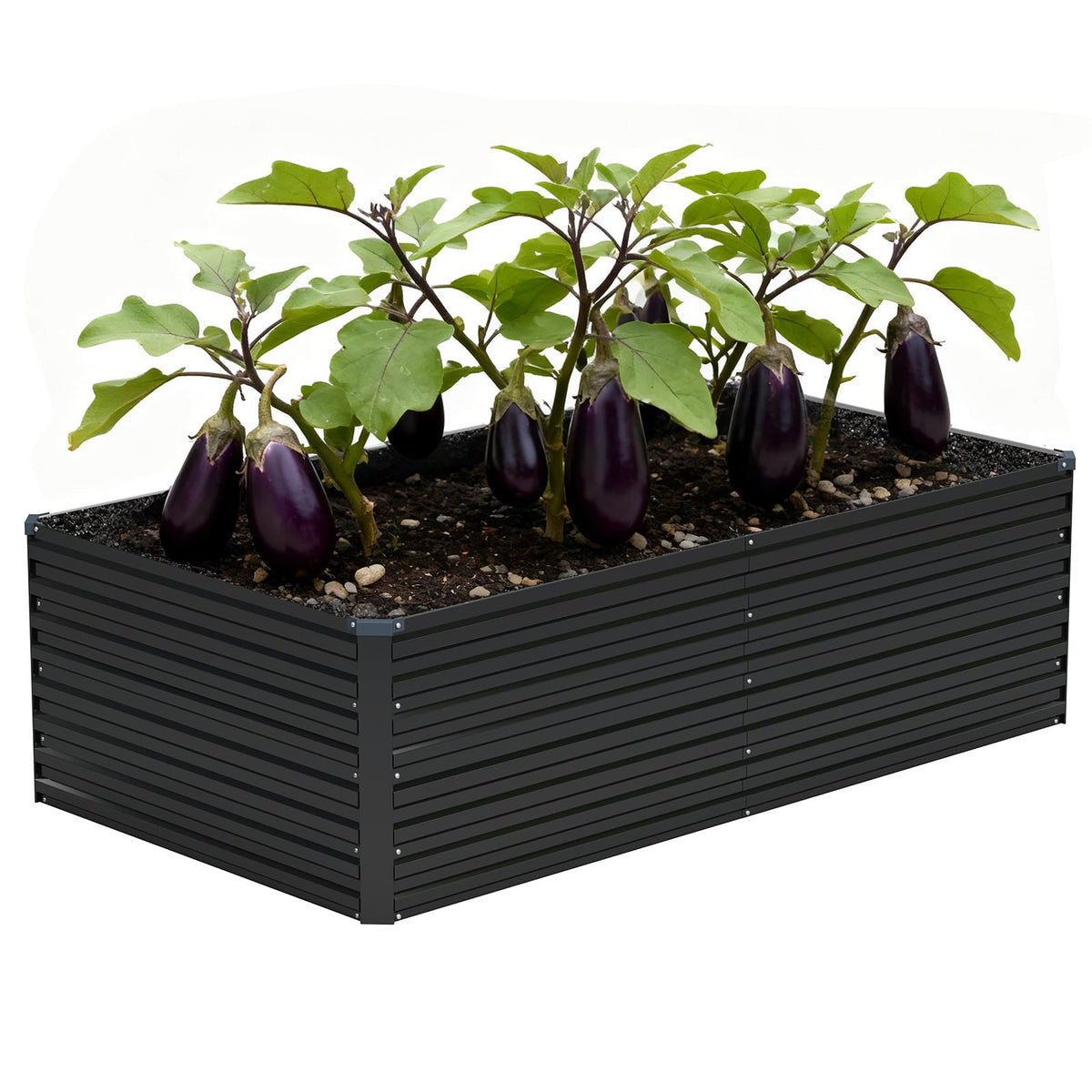 Vengarus 6x3x2ft bed with 24in depth for leafy greens