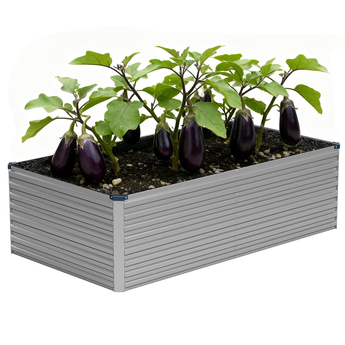 Vengarus raised bed 24 inch depth for deep root crops