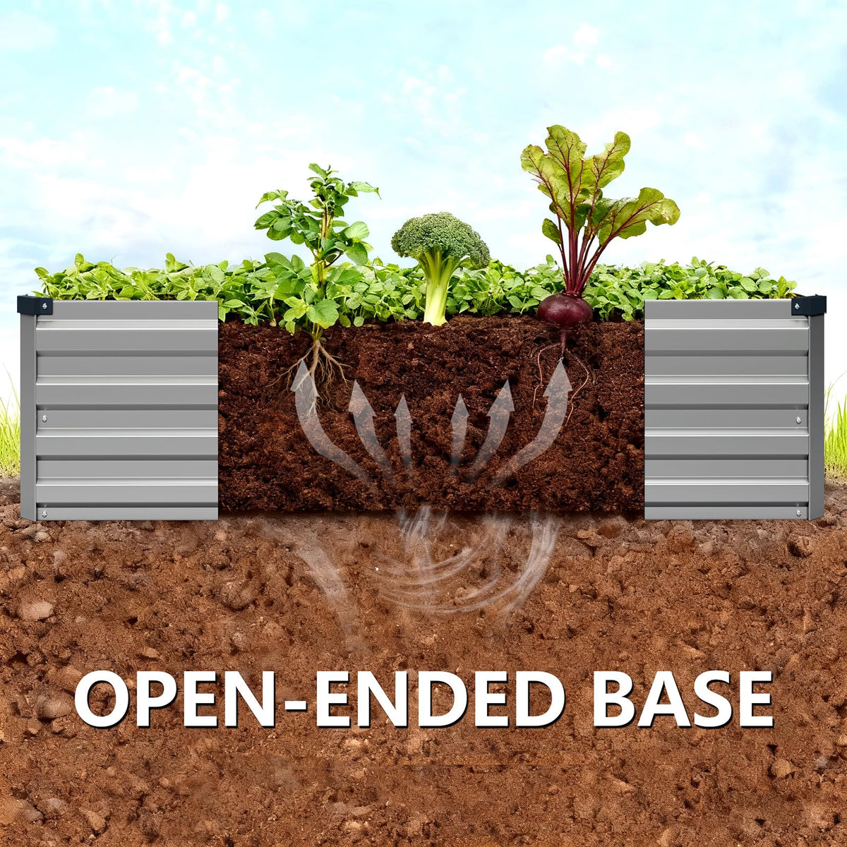 Vengarus open-base drainage promotes healthy root growth and airflow.