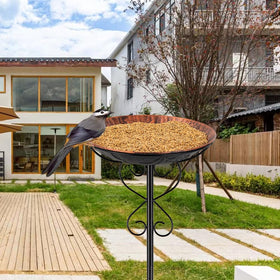 Venniy bird bath garden scene demonstrates elegant yard decor.
