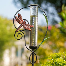 Venniy Dragonfly Rain Gauge with a 7-inch tube for precise rainfall measurements.