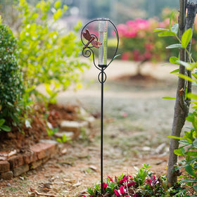 Venniy Dragonfly Rain Gauge serves as a decorative garden gift idea.