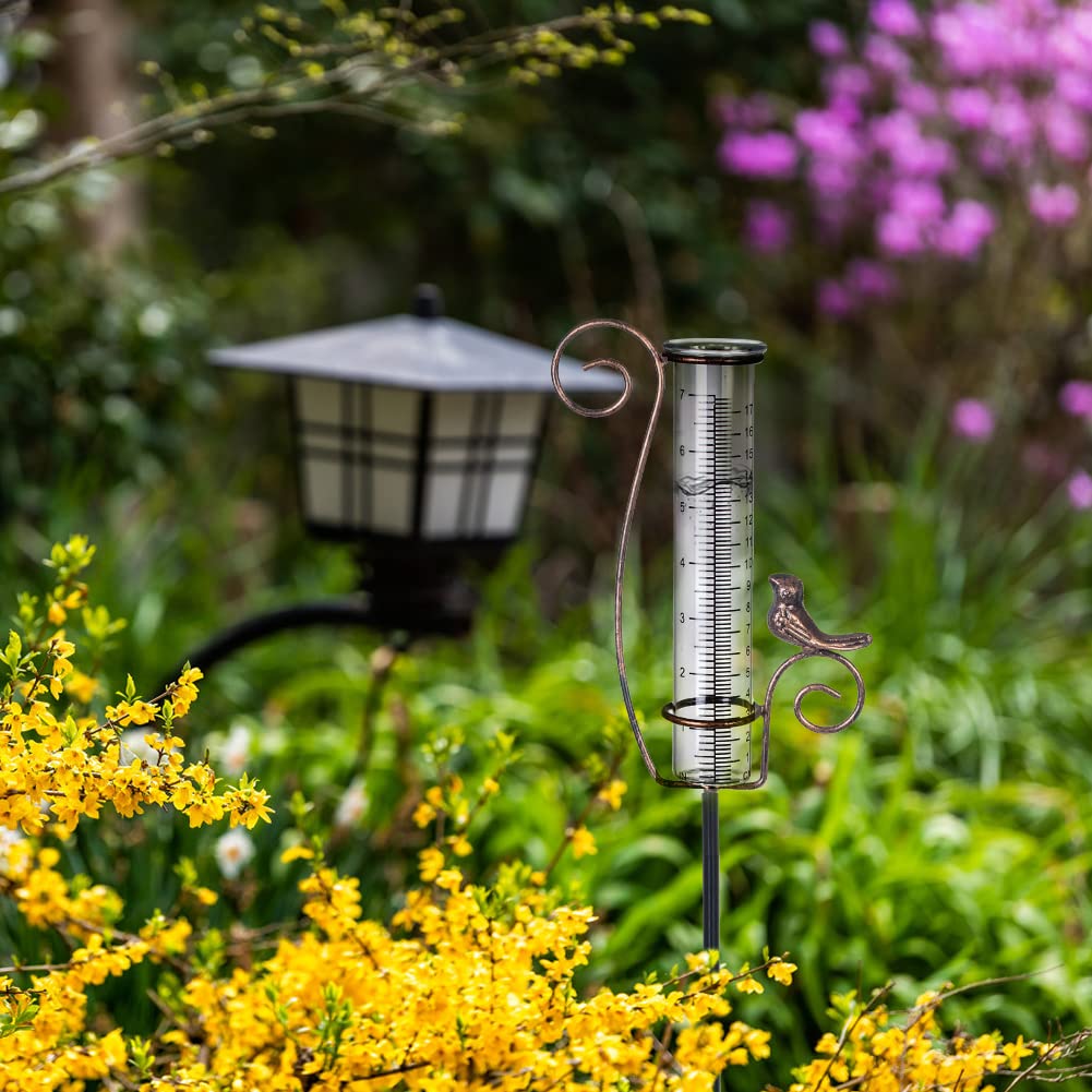 Venniy decorative bird accent enhances garden decor while tracking rainfall.