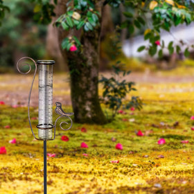 Venniy rain gauge helps monitor rainfall for plant care planning.