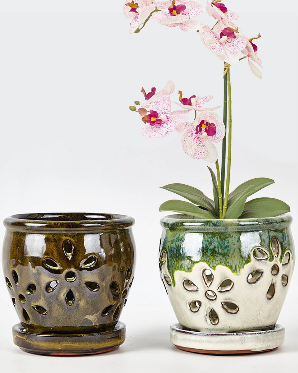 vensovo orchid pot with side holes promoting airflow for healthy roots