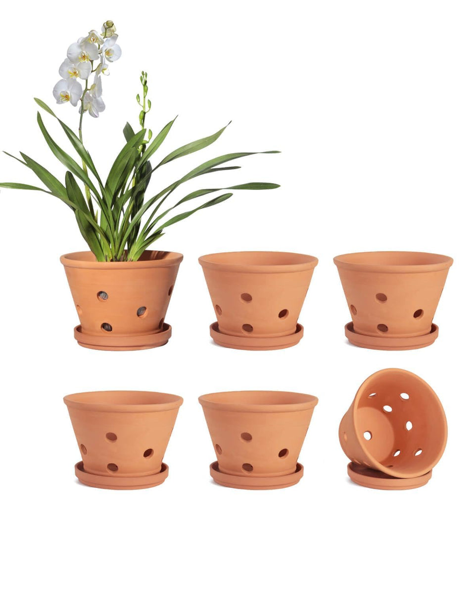 vensovo 4-inch terracotta orchid pot with holes and saucer for easy repotting