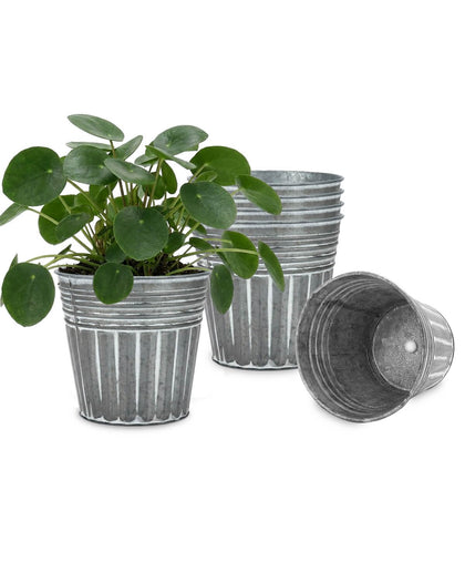 vensovo 5 inch galvanized bucket planter set for herbs and flowers