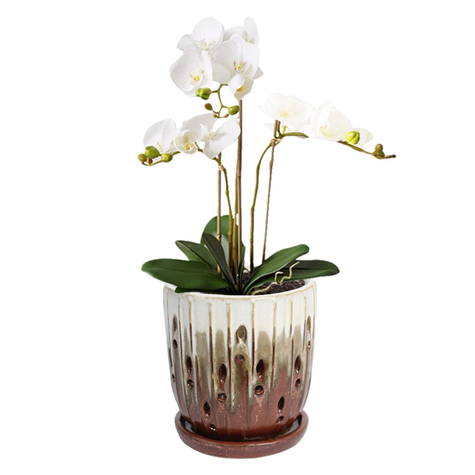 Vensovo 6-inch ceramic orchid pot with holes for airflow and healthy roots