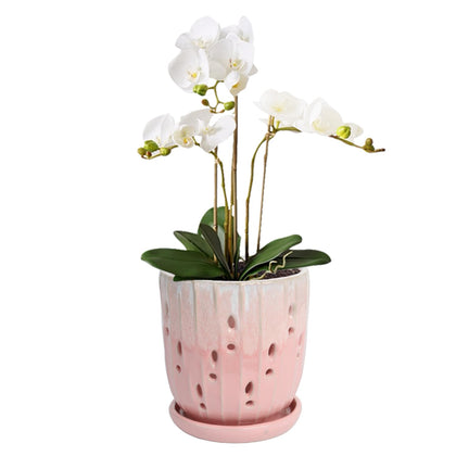 vensovo 6 inch ceramic orchid pot with holes promotes airflow for healthy roots