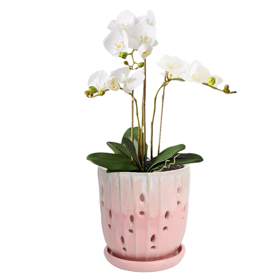 vensovo 6 inch ceramic orchid pot with holes promotes airflow for healthy roots