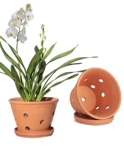vensovo 8 inch terracotta orchid pot front view with side holes for airflow