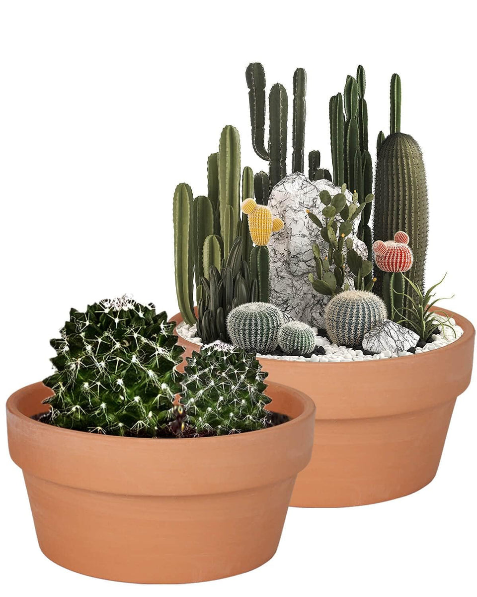 vensovo 8-inch terracotta pot with drainage hole for healthier root airflow.