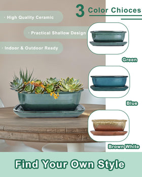 Vensovo bonsai pot green inside depth revealing shallow bonsai-friendly design