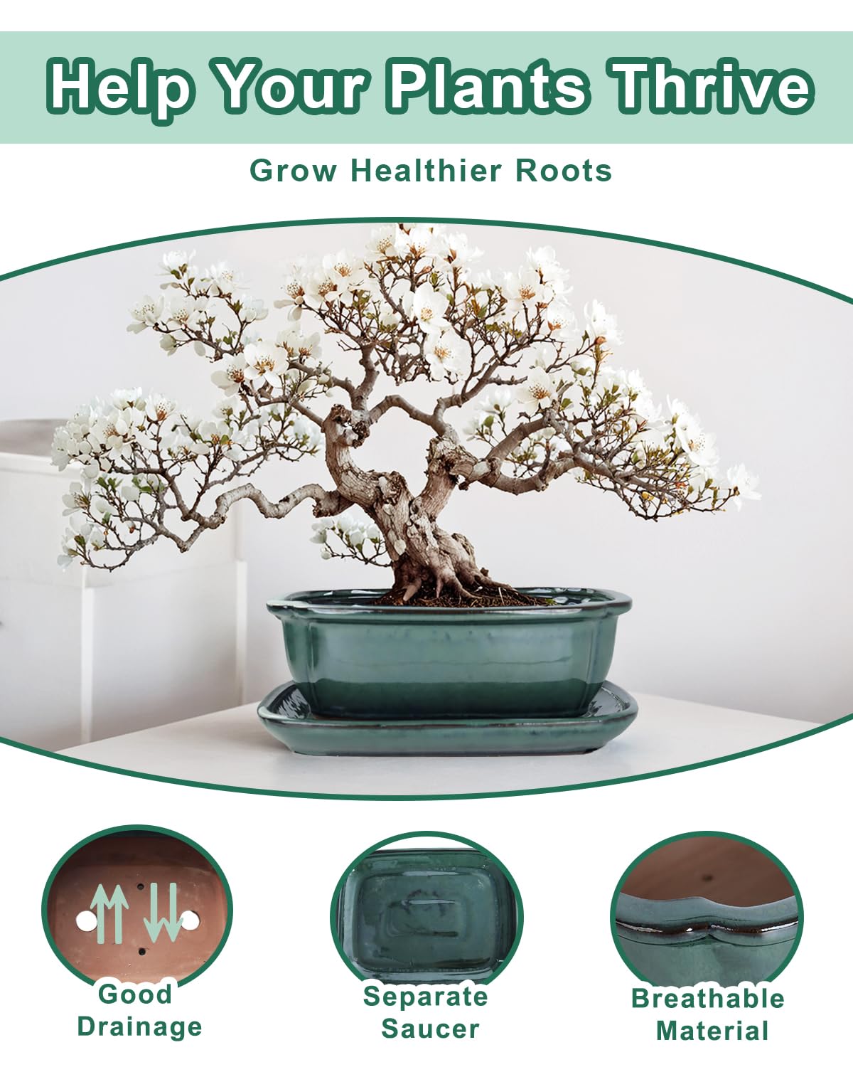 Vensovo bonsai pot green saucer top demonstrating integrated tray