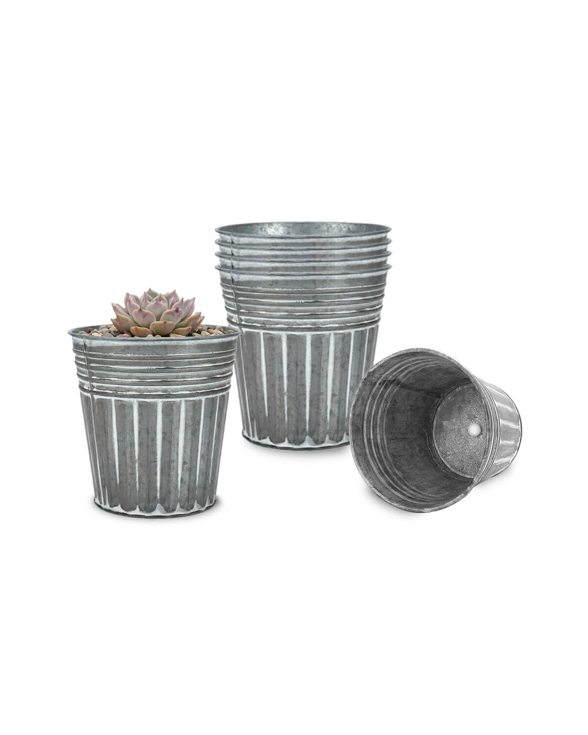 Vensovo 4-inch galvanized bucket planter six-pack for compact indoor herbs
