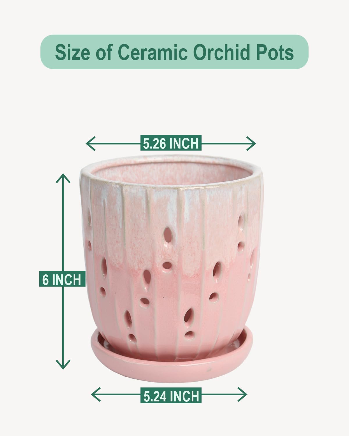 vensovo orchid pot with attached saucer prevents spills and makes relocation easy