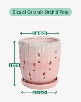 vensovo orchid pot with attached saucer prevents spills and makes relocation easy