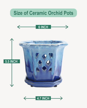 Vensovo ceramic orchid pot blue features attached saucer for neat drainage.