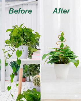 vensovo climbing plants support trellis gold ideal for ivy, roses, and more.