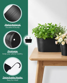 Vensovo detachable hooks enable quick transformation from hanging planters to desktop storage.