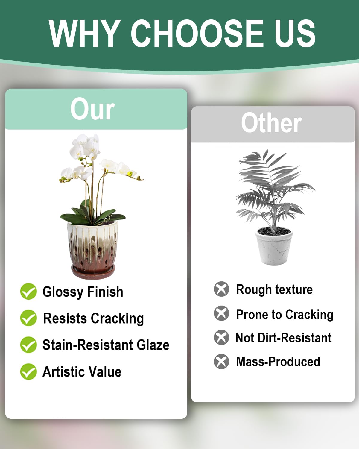 Vensovo drainage holes promote airflow and balanced moisture for orchids