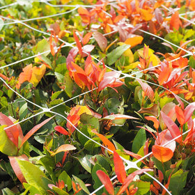 vensovo durable garden netting designed for year round outdoor use.