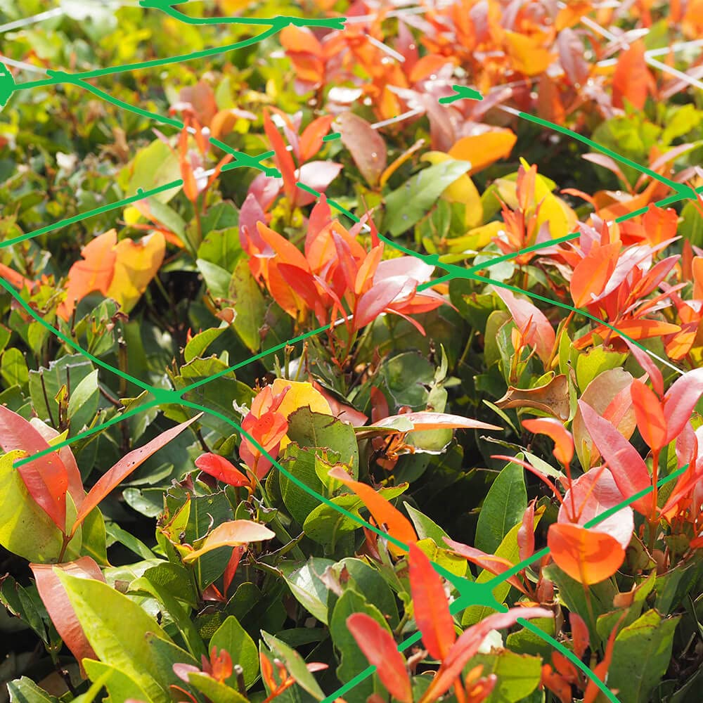 Vensovo easy-cut garden netting trimmed to fit any garden frame