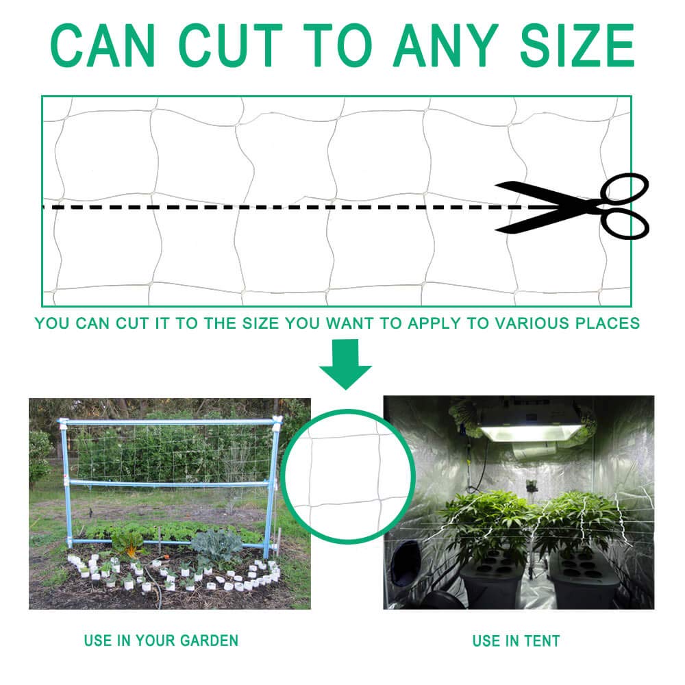 Vensovo garden setup with trellis supports tomatoes and cucumbers