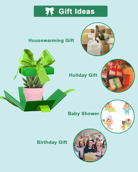 Vensovo indoor-outdoor mini pot suitable for windowsill and balcony