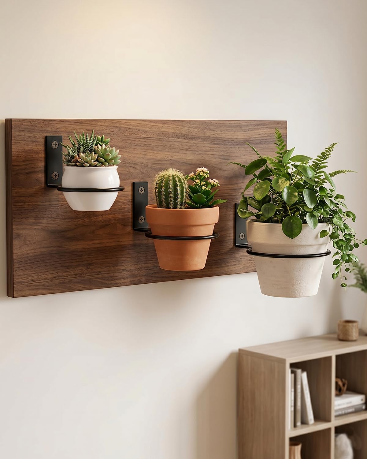 Vensovo multi-use plant holder shown with herbs and succulents.