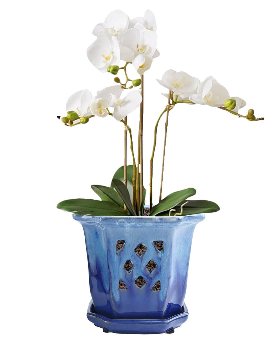 Vensovo octagonal 6-inch ceramic orchid pot blue with holes for airflow.
