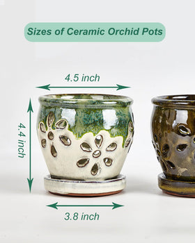 vensovo olive green 4-inch orchid pot ideal for indoor and outdoor use