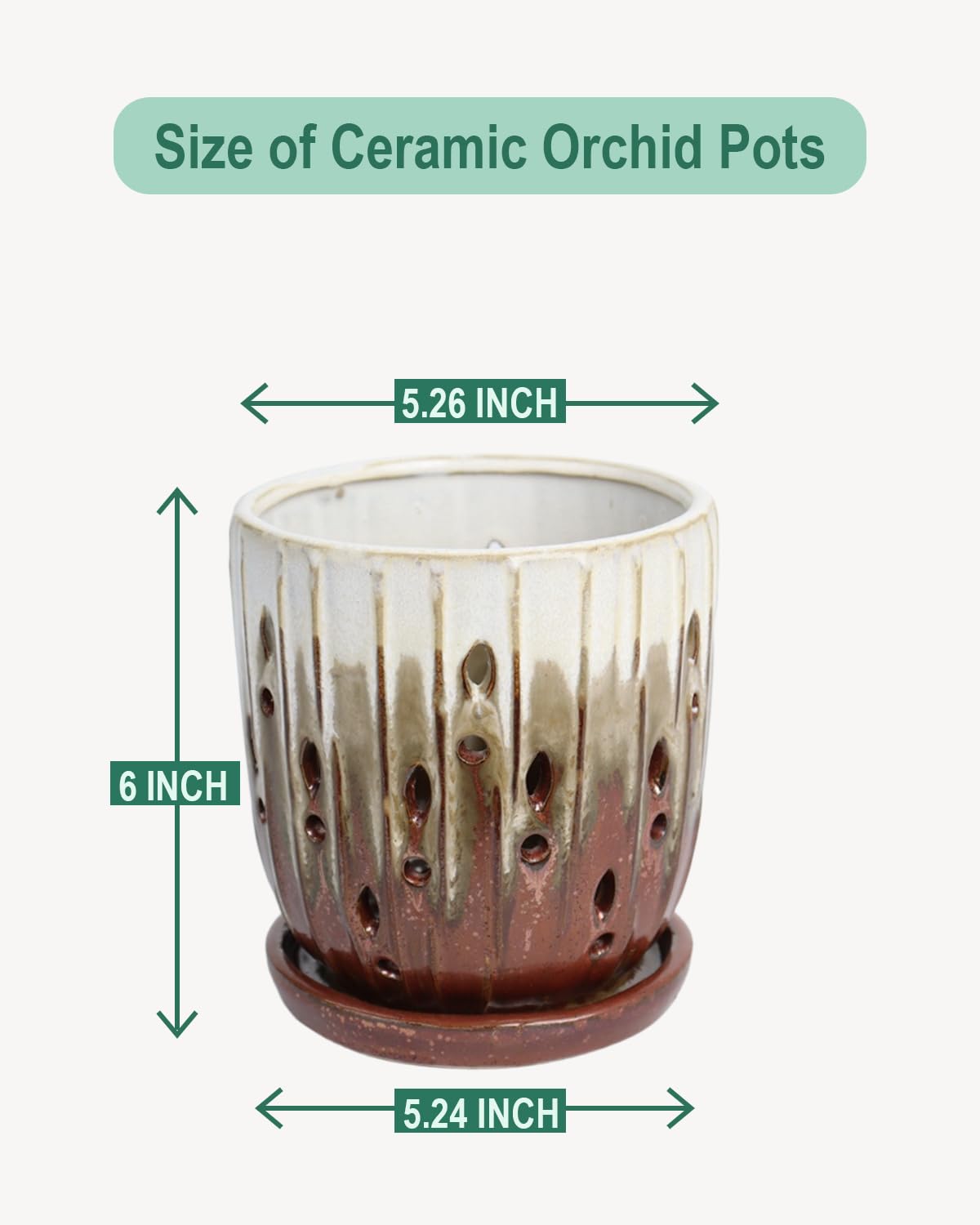 Vensovo orchid pot with attached saucer keeps soil tidy and portable