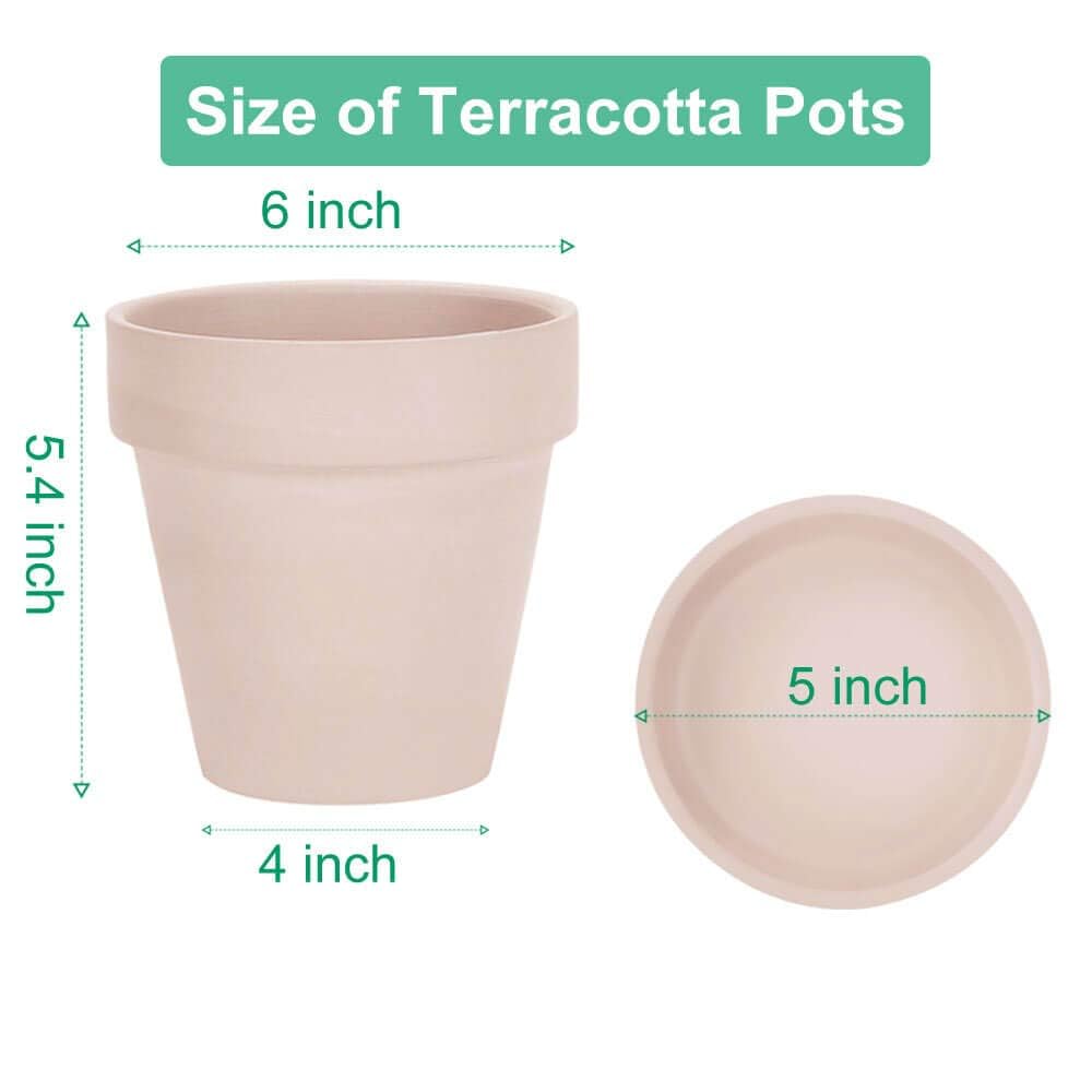 vensovo pink terracotta pot showing drainage hole for water control.